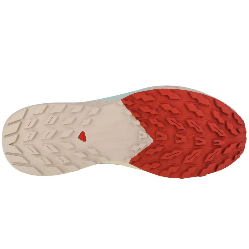 Buty Salomon Sense Ride 5 M 472117 - obrazek 8