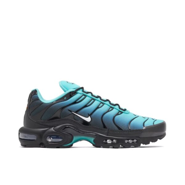 Nike Air Max Plus TN Light Retro DM0032-401 Czarne Siateczką
